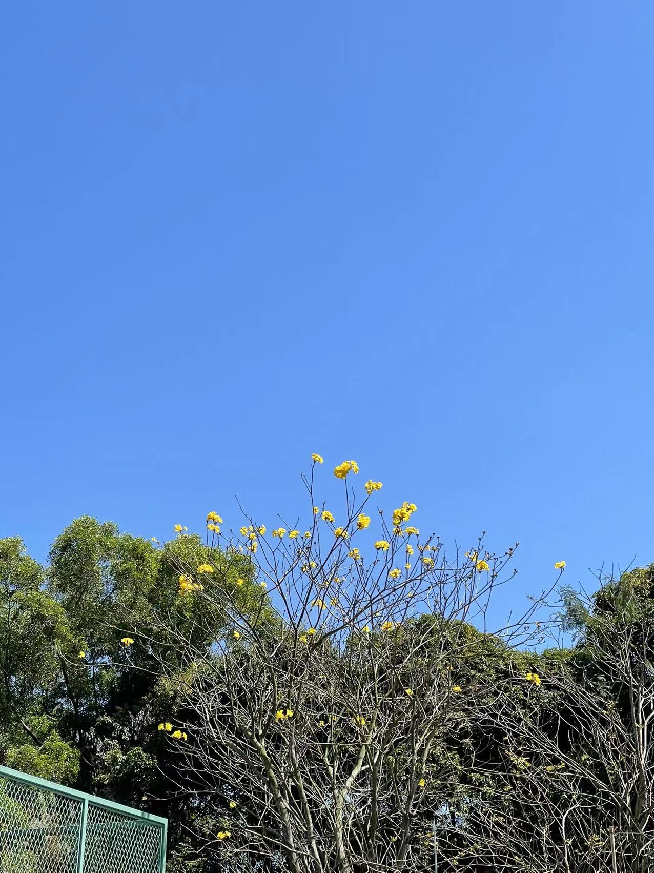 根本问题